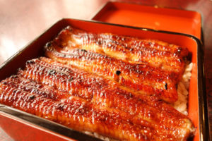 traditional Japanese food: unagi